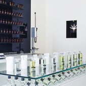 Parle moi de parfum