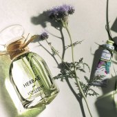 Lire la critique de Herbae, les herbes folles de L'Occitane 