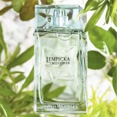 Lire la critique de Lolita Lempicka réchauffe la cologne avec Green Lover