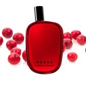 Lire la critique de Comme des garçons voit Rouge