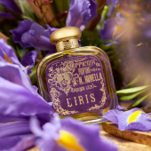 L'Iris, hommage de Santa Maria Novella à Florence