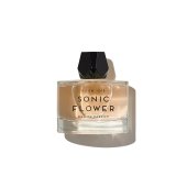 Lire la critique de Sonic Flower