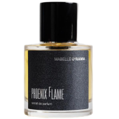 Lire la critique de Phoenix Flame