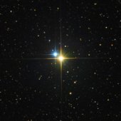 Albireo