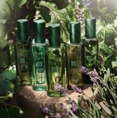 Lire la critique de Balade dans un jardin anglais, avec The Herb Garden de Jo Malone