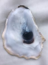 La terre et l'éther