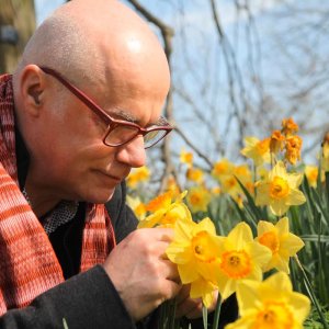 Le parfumeur d'Ostara à la rencontre de la jonquille et de son parfum