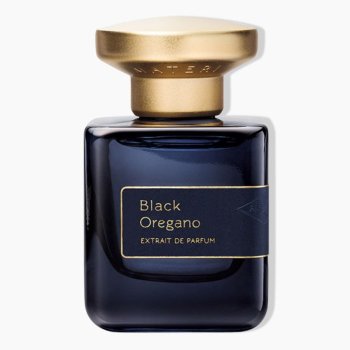 Black oregano