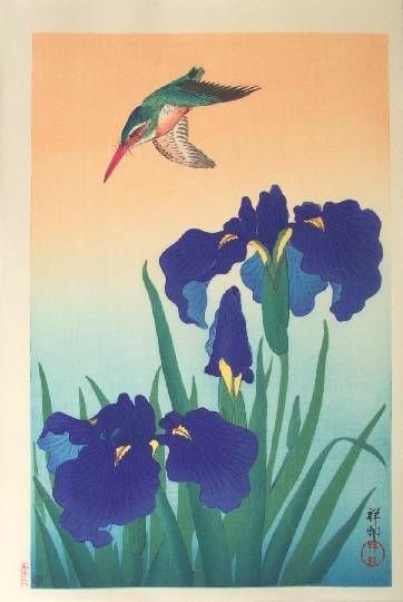 Koson - kingfish and iris